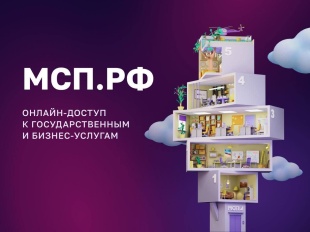 В Самарской области динамично растет число пользователей Цифровой платформы МСП.РФ