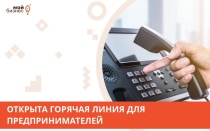 "Горячая линия" для предпринимателей