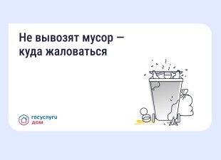 Не вывозят мусор — куда жаловаться