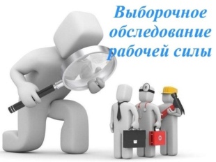 Самарастат проводит статистическое обследование рабочей силы