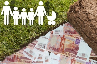 Многодетные семьи могут обратиться за социальной выплатой взамен земельного участка, предоставляемого им в собственность бесплатно