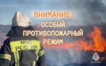 Введён особый противопожарный режим